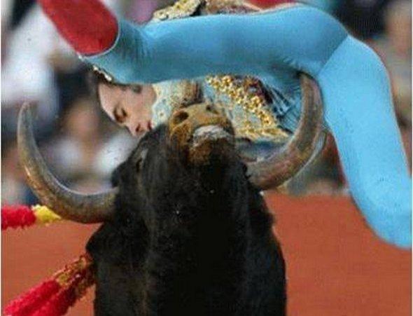 Foto Divertente: Torero incornato tra le gambe