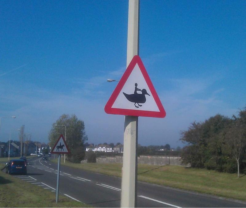 Foto Divertente: Pericolo anatra 