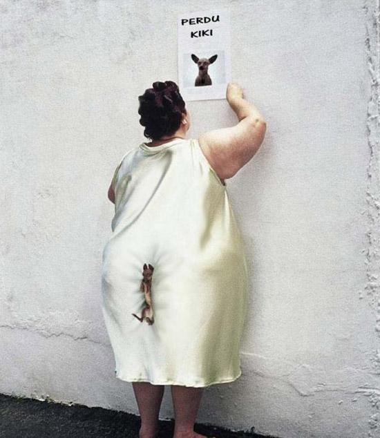 Foto Divertente: Donna che non si accorge di essersi seduta sul cane