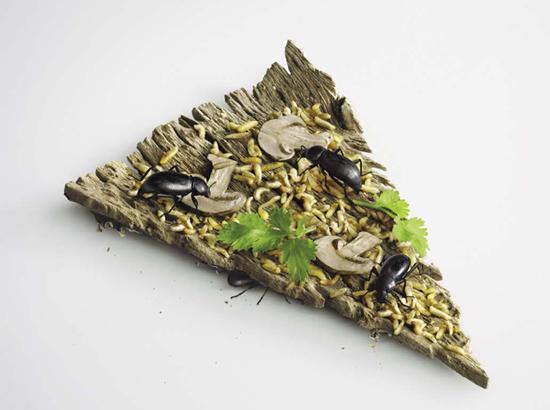 Foto Divertente: Spicchio di pizza di legno con insetti e funghi