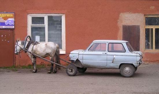 Foto Divertente: Cavallo che traina automobile