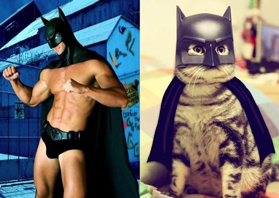 Foto Divertente: Gatto vestito da Batman