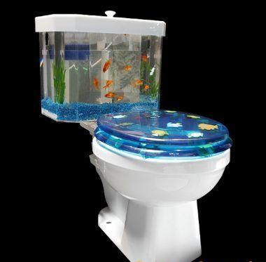 Foto Divertente: Acquario al posto della cassetta del wc