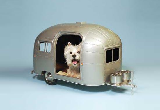 Foto Divertente: Cane in cuccia a forma di roulotte
