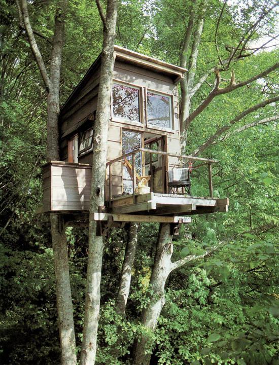 Casa sull'albero
