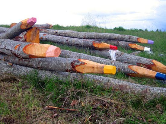 Foto Divertente: Tronchi di albero fatti come matite da disegno