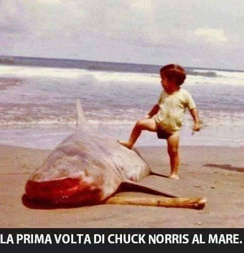 Squalo catturato da Chuck Norris