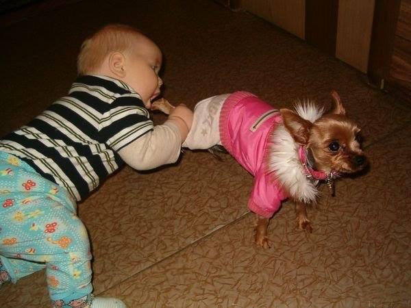 Foto Divertente: Bambino che tenta di mordere cane