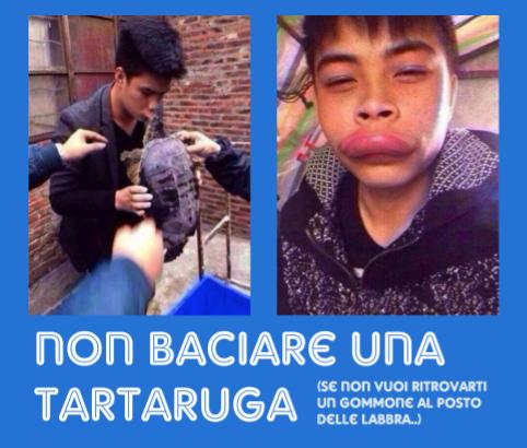 Foto Divertente: Ragazzo con labbro gonfio dopo bacio a tartaruga