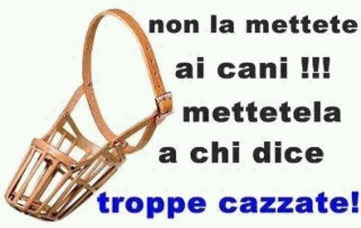 Foto Divertente: La museruola va messa a chi parla male e non ai cani