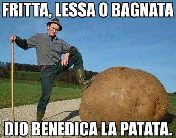 Foto Divertente: Contadino con una patata enorme