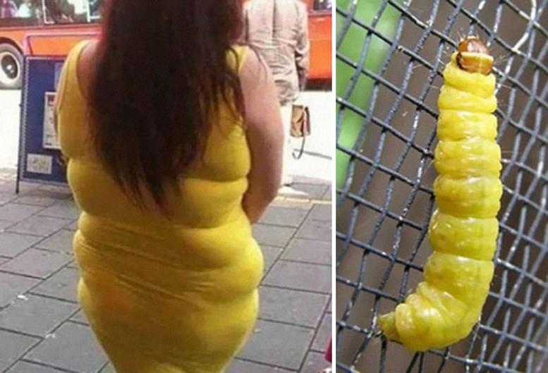Foto Divertente: Donna somigliante ad un bruco giallo