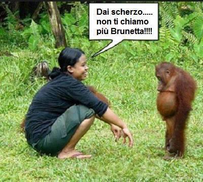 Foto Divertente: Donna che parla con scimmia paragonata a Brunetta