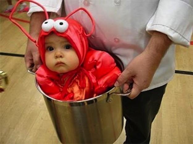 Foto Divertente: Bambino vestito da aragosta in pentola
