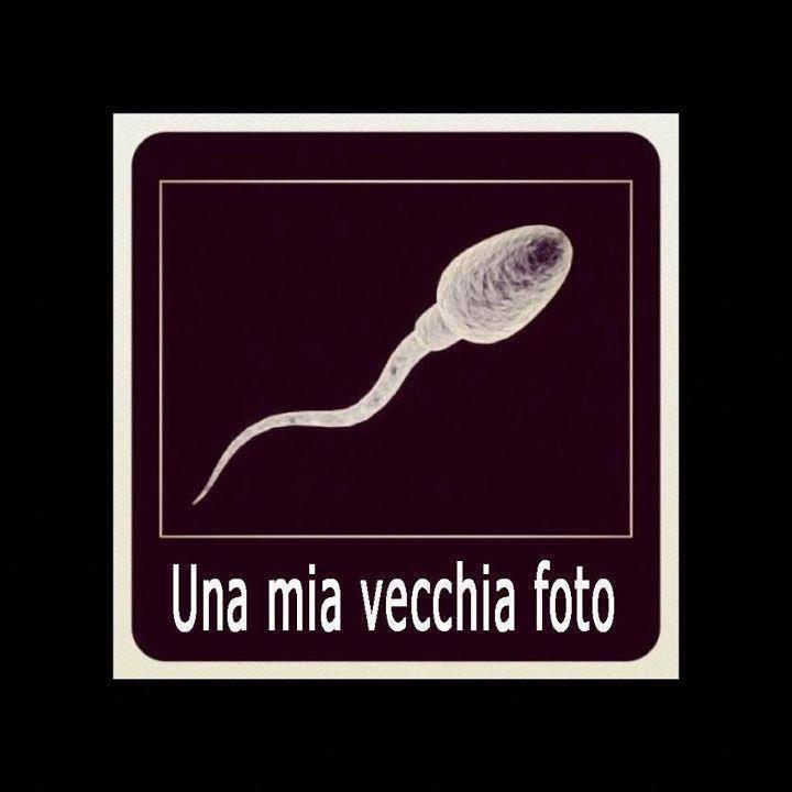 Foto Divertente: Foto di uno spermatozoo
