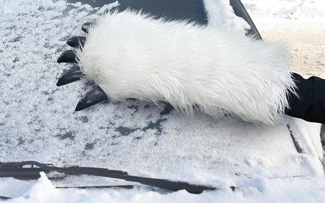 Gratta ghiaccio a forma di zampa di orso