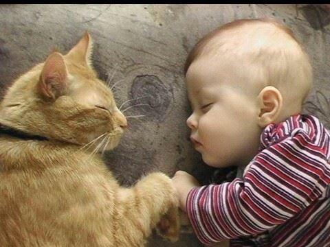 Foto Divertente: Bambino che dorme con gatto