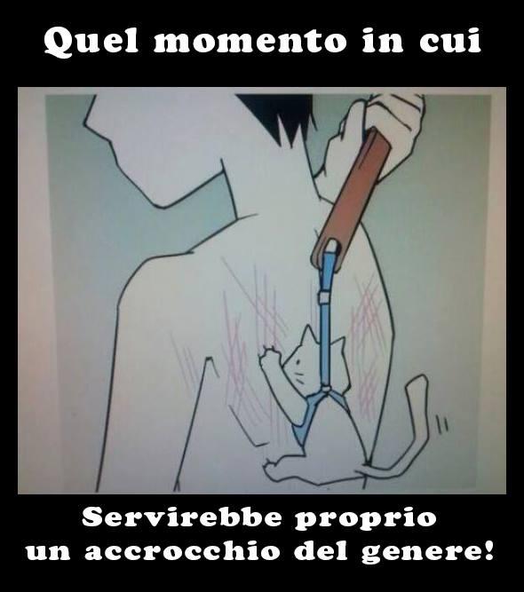 Foto Divertente: Gatto usato come grattino per la schiena