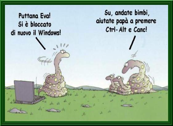 Foto Divertente: Serpenti al pc