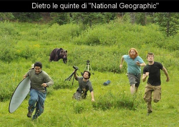 Foto Divertente: Troupe di National geographic inseguita da orso
