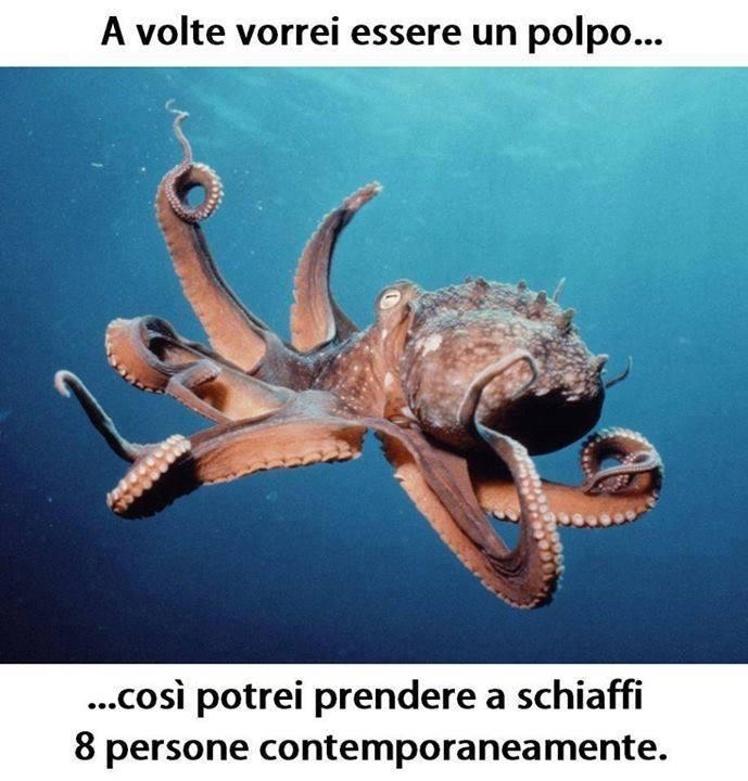 Foto Divertente: Allusione con un polpo