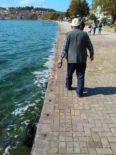 Uomo che passeggia con il cane e non si accorge che è in acqua