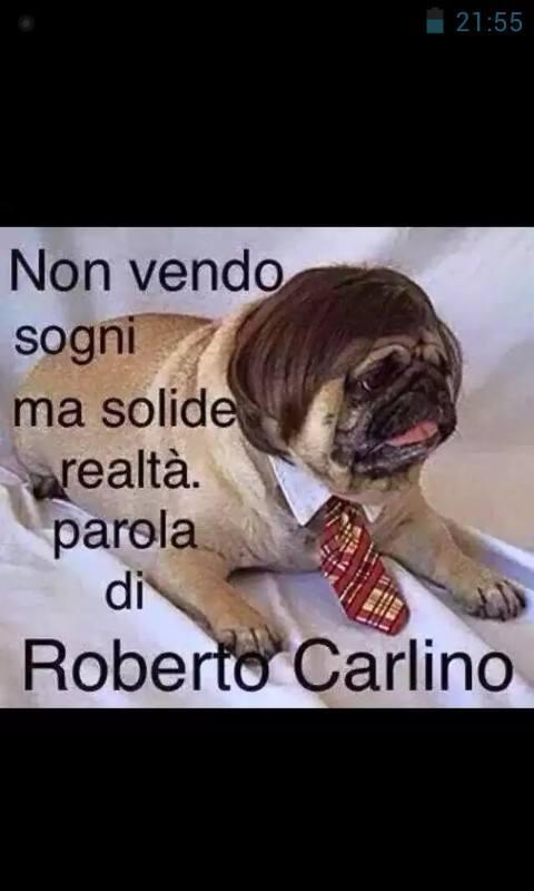 Foto Divertente: Pubblicità con cane con parrucchino