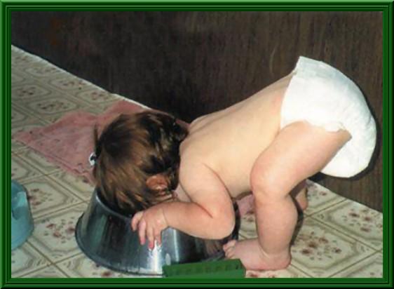 Foto Divertente: Bambino che mangia nella ciotola del cane