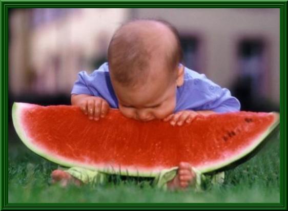 Foto Divertente: Bambino che tenta di mangiare grossa fetta di cocomero