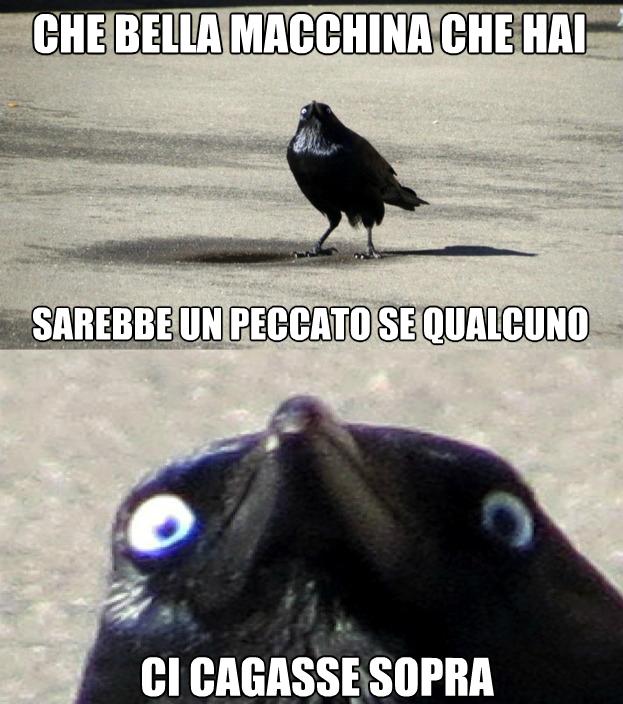 Merlo con intenzioni pericolose per la macchina