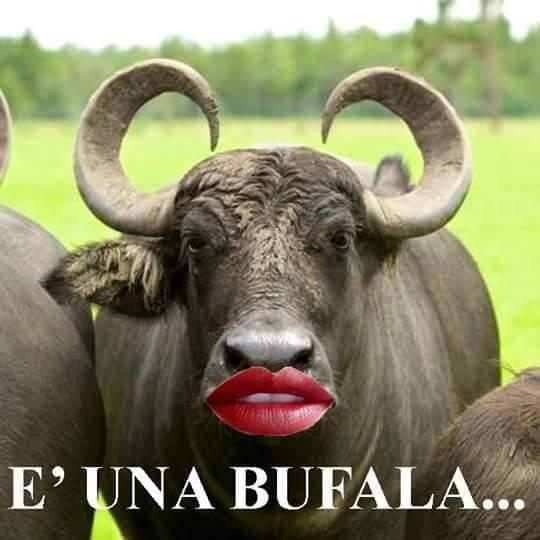 Una bufala con rossetto