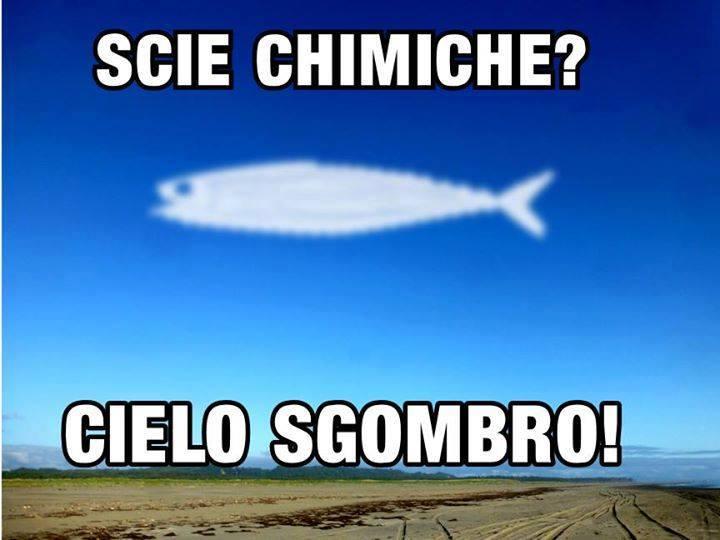 Foto Divertente: Uno sgombro in cielo scambiato per scia chimica