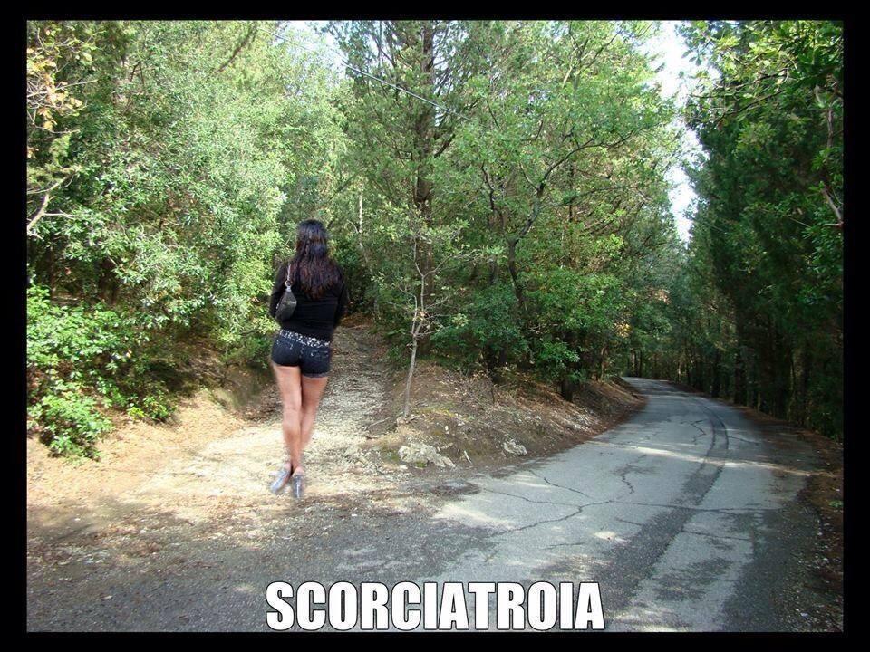 Foto Divertente: Donna sul ciglio della starda