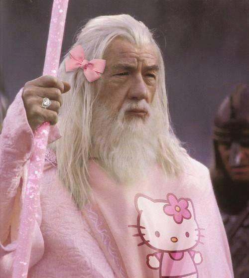 Merlino vestito da Hello Kitty