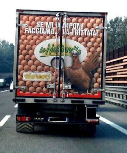 Camion con fotografie di uova e galline