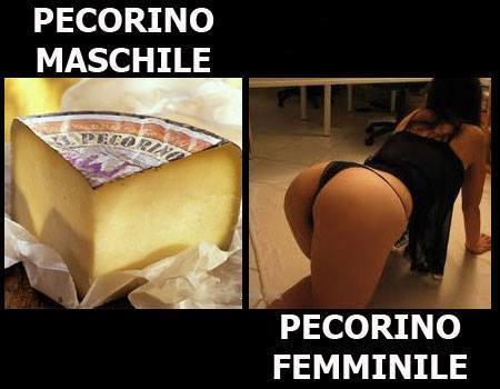 Una forma di pecorino e una donna a terra..due punti di vista