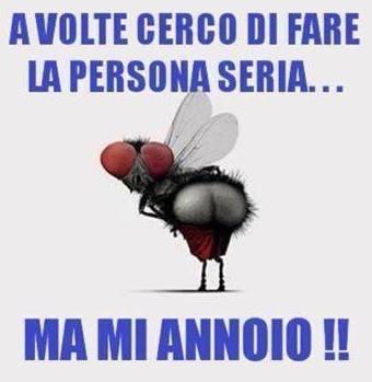 Mosca che si butta giù le mutande