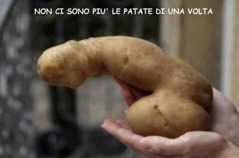 Foto Divertente: Una patata di forma imbarazzante