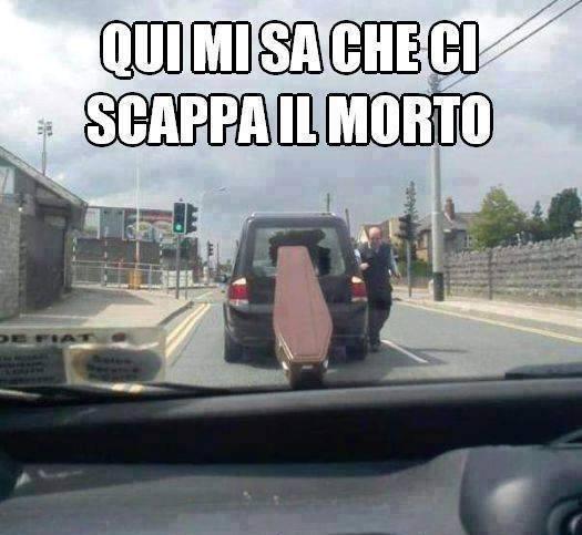 Bara che fuoriesce dal lunotto dell'auto che la trasportava