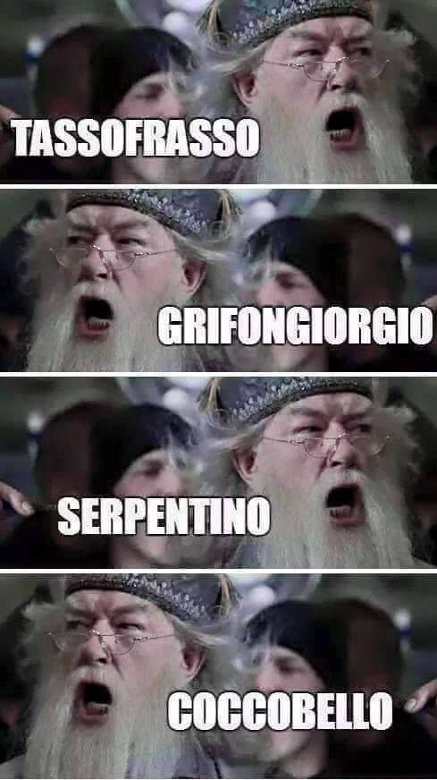 Harry Potter e Silente che si scorda la parola