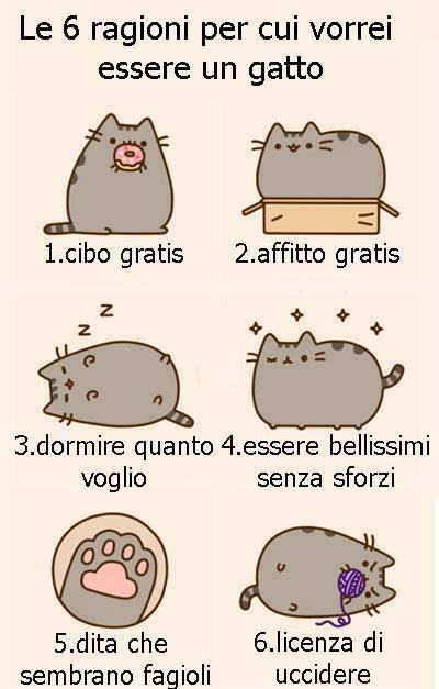 Foto Divertente: Le 6 ragioni per essere un gatto