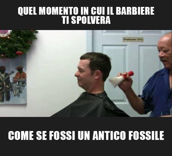 Foto Divertente: Quando il barbiere ti spolvera dopo il taglio di capelli