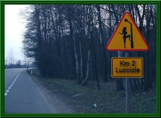 Lucciole - divieto