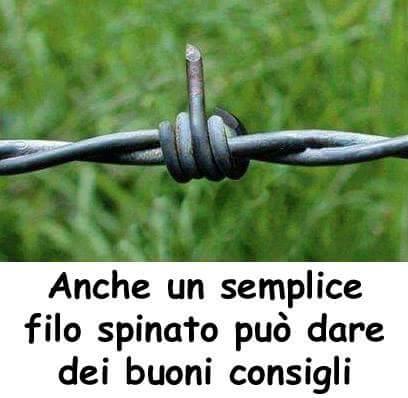 Foto Divertente: Filo spinato con punta rivolta verso l'alto
