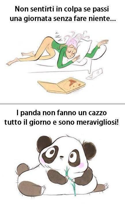 Foto Divertente: Donna pigra paragonata ad un panda