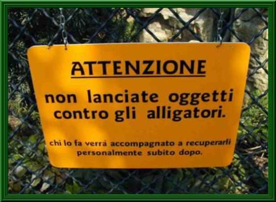 Foto Divertente: Cartello alligatori
