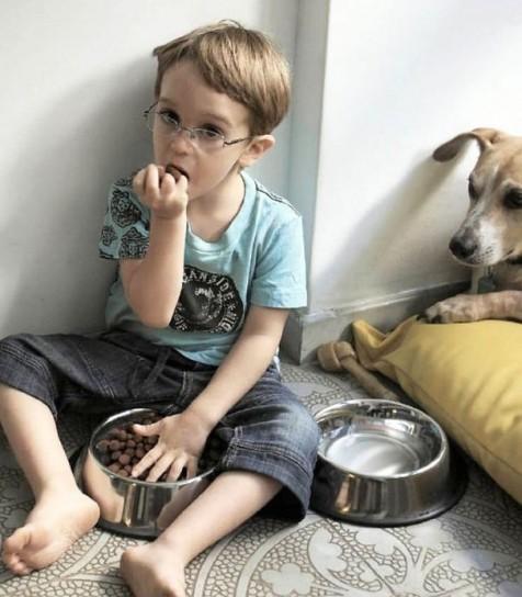 Foto Divertente: Bambino che mangia il cibo del cane
