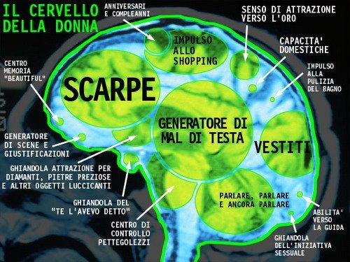 Foto Divertente: Come è diviso il cervello di una donna