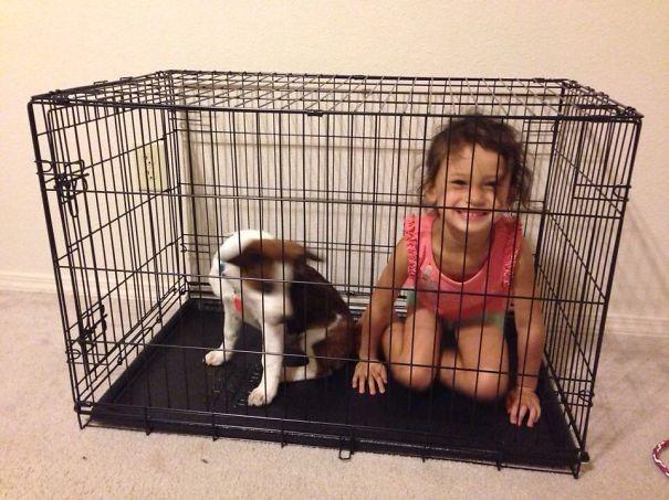 Foto Divertente: Bambina dentro la gabbia del cane