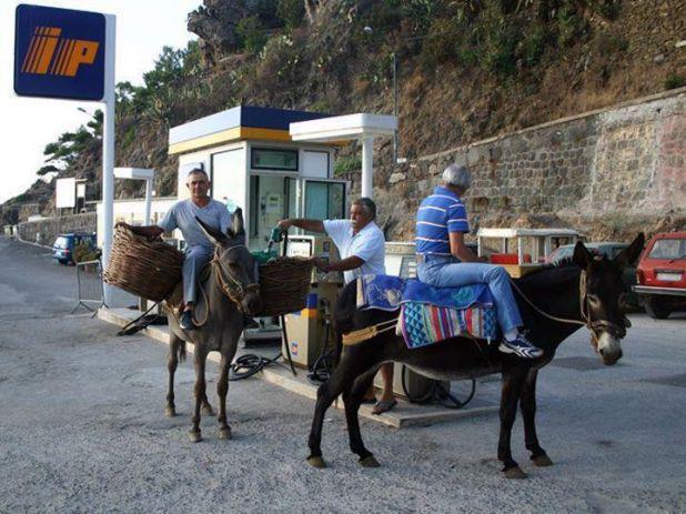 Foto Divertente: Uomini fermi con gli asini a fare benzina